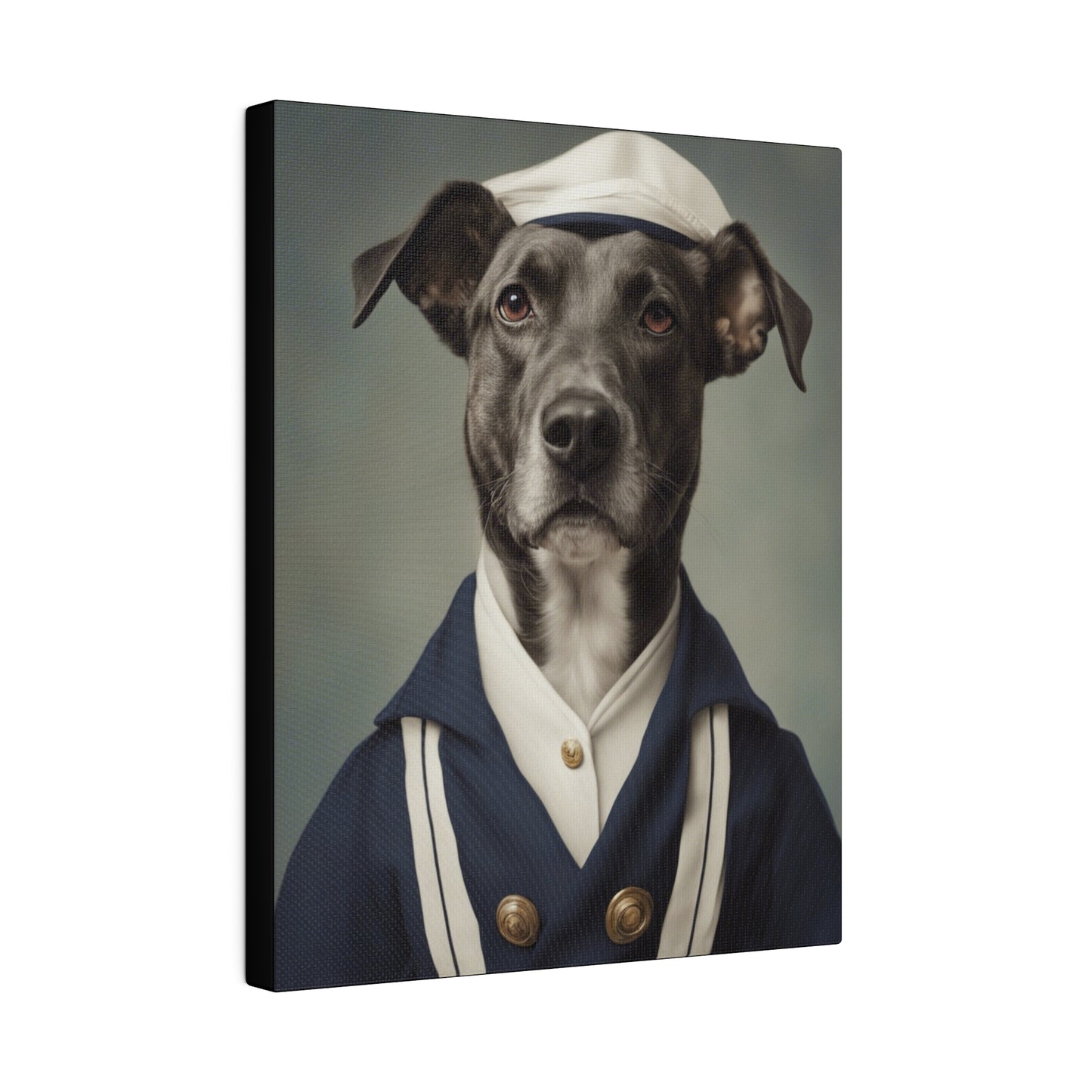 The Sailor - Custom Pet Portrait