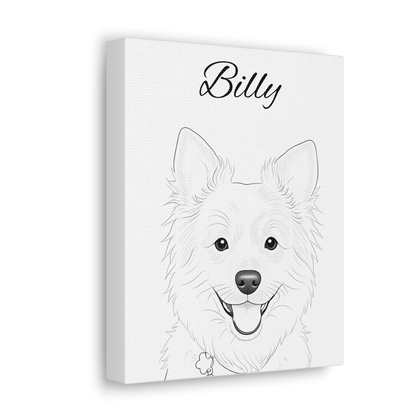 Custom Pet Drawing - Custom Pet Portrait