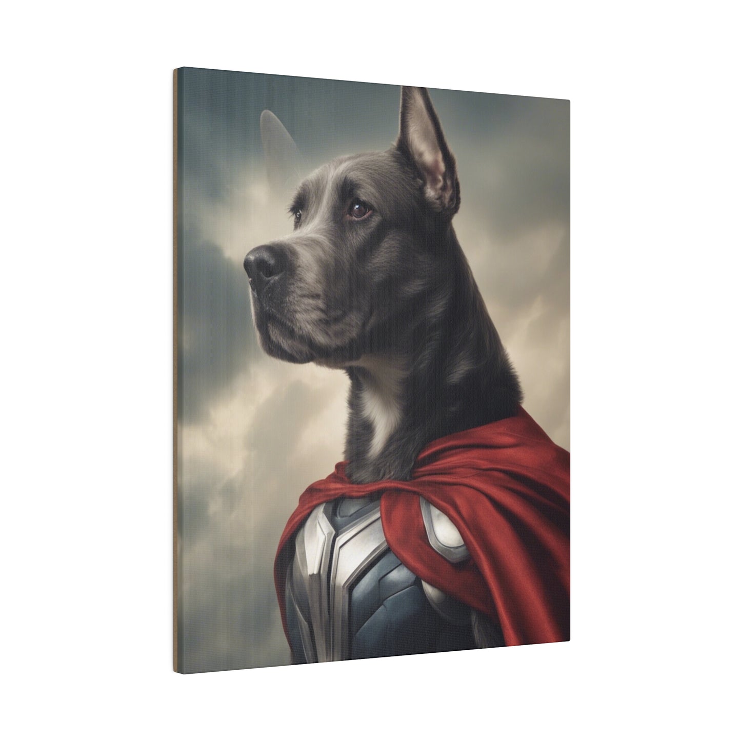 Super Hero - Custom Pet Portrait