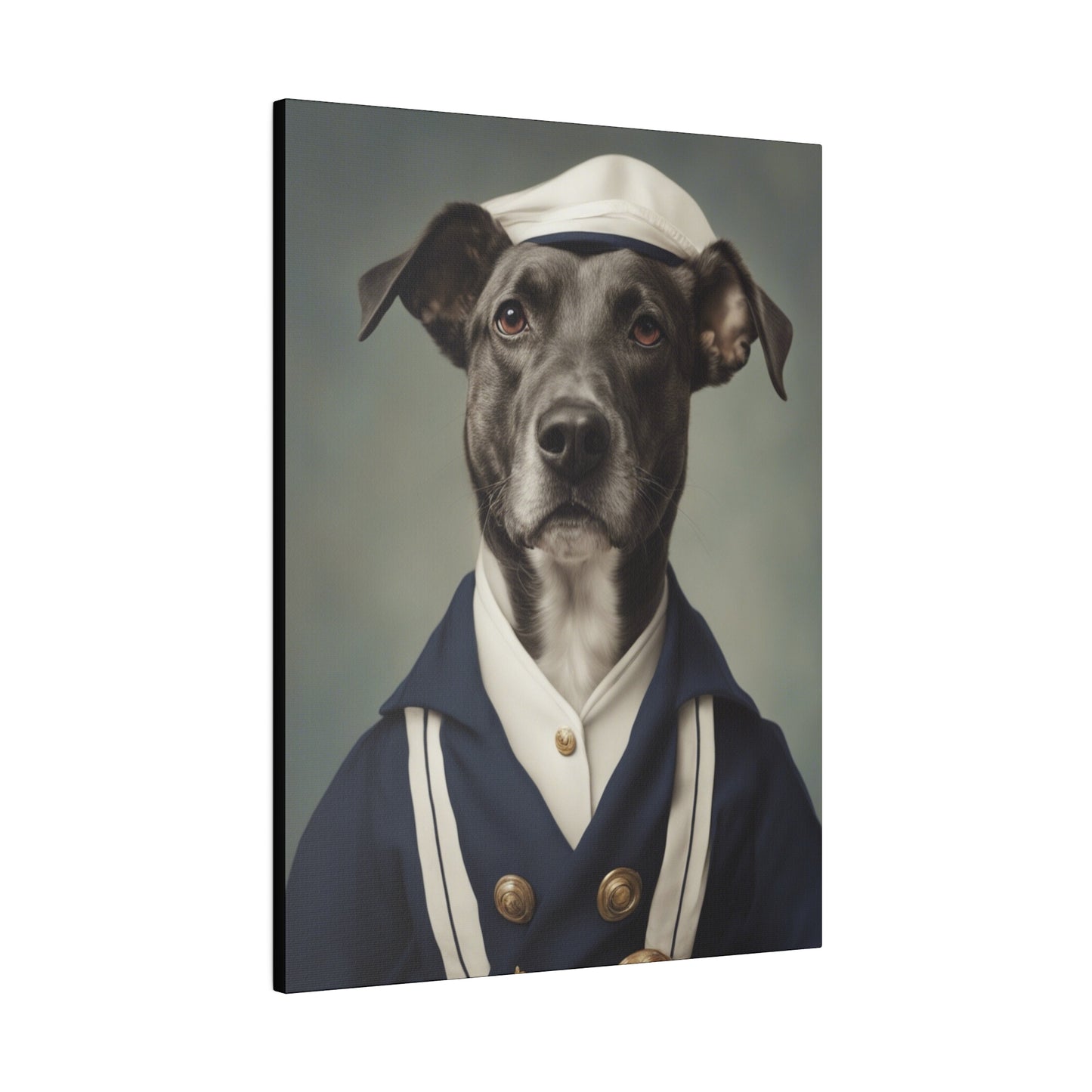 The Sailor - Custom Pet Portrait