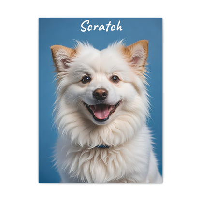 Modern Pet - Custom Pet Magazine Portrait