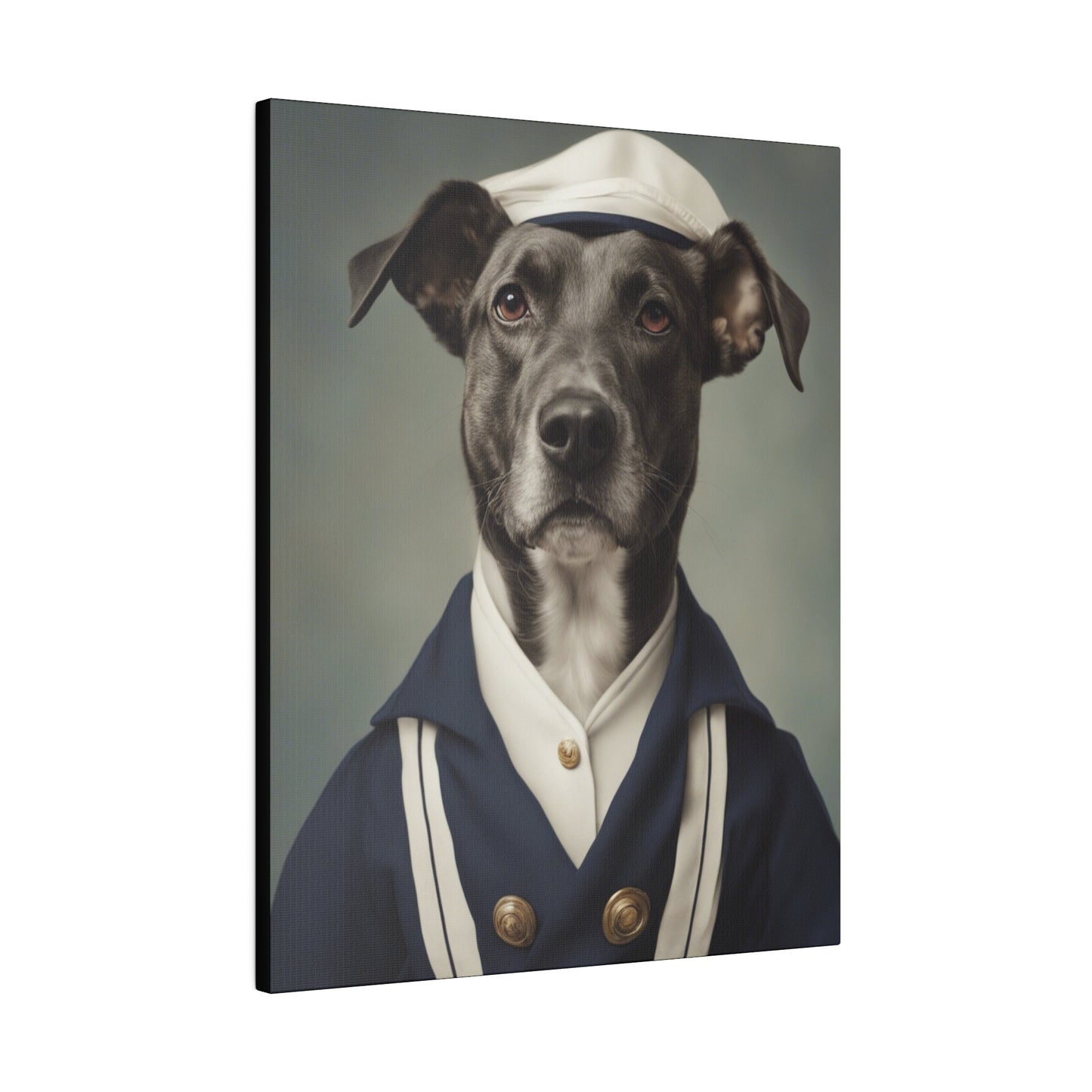 The Sailor - Custom Pet Portrait