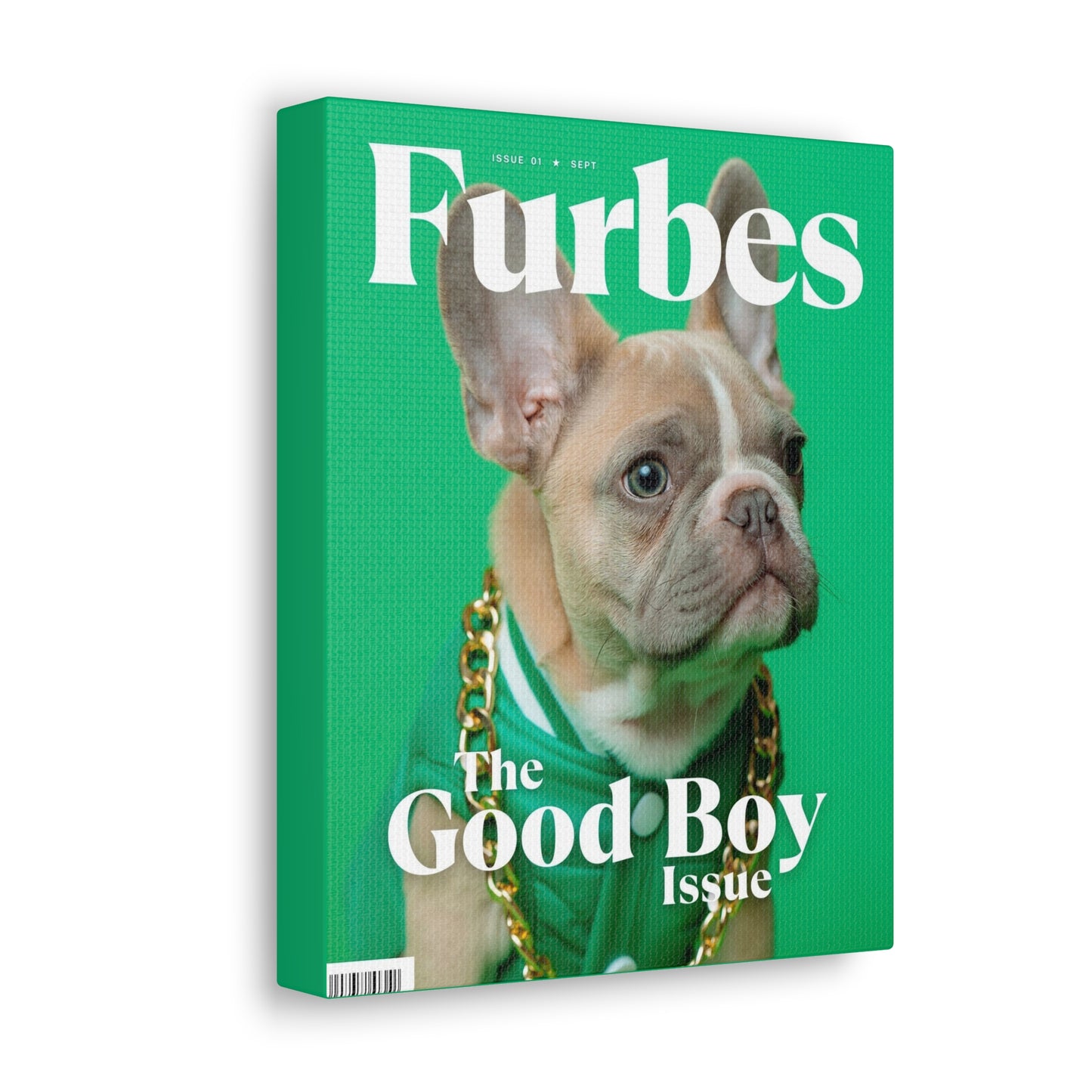 Furbes - Custom Pet Magazine Portrait