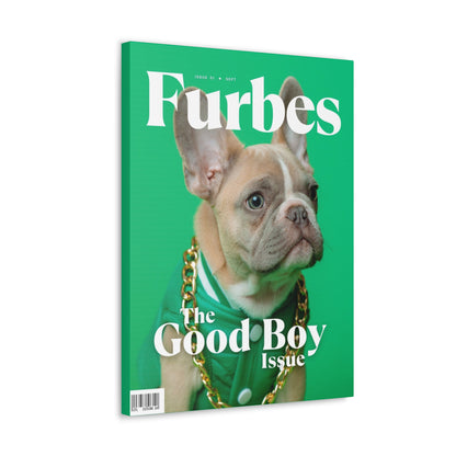 Furbes - Custom Pet Magazine Portrait