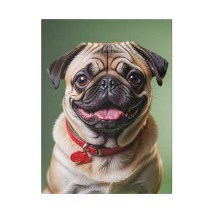 Shining Pop - Custom Digital Pet Portrait