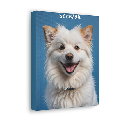 Modern Pet - Custom Pet Magazine Portrait