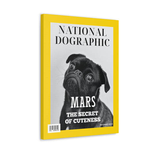 National Dographic - Custom Pet Magazine Portrait