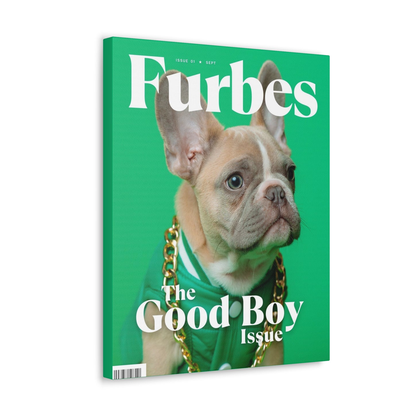 Furbes - Custom Pet Magazine Portrait