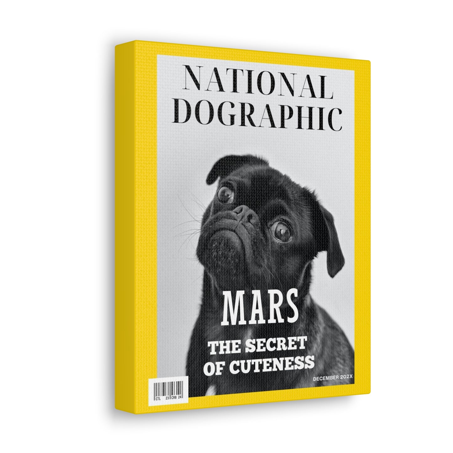 National Dographic - Custom Pet Magazine Portrait