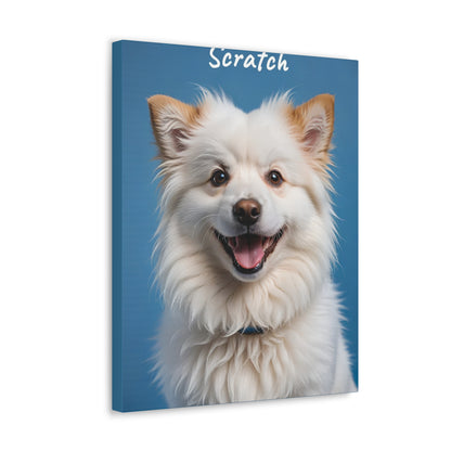 Modern Pet - Custom Pet Magazine Portrait