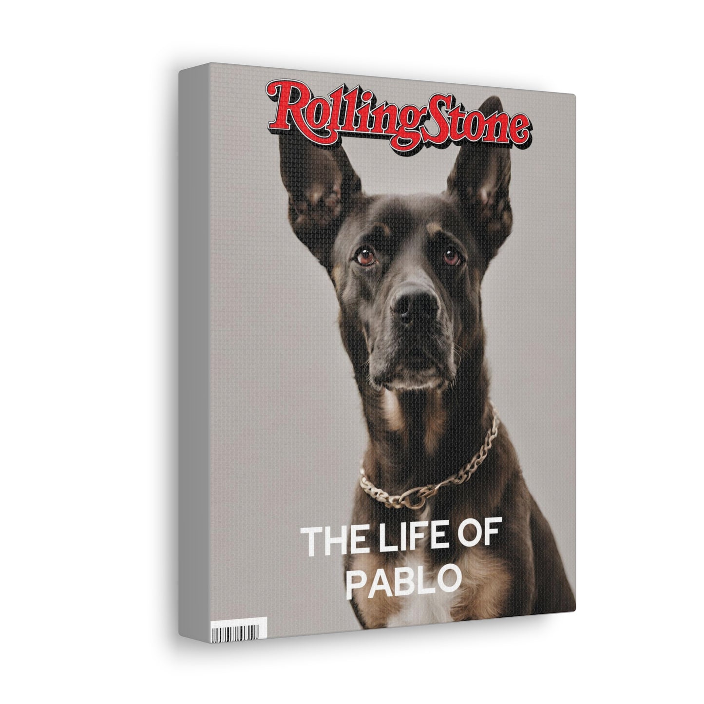 Rolling Bone - Custom Pet Magazine Portrait