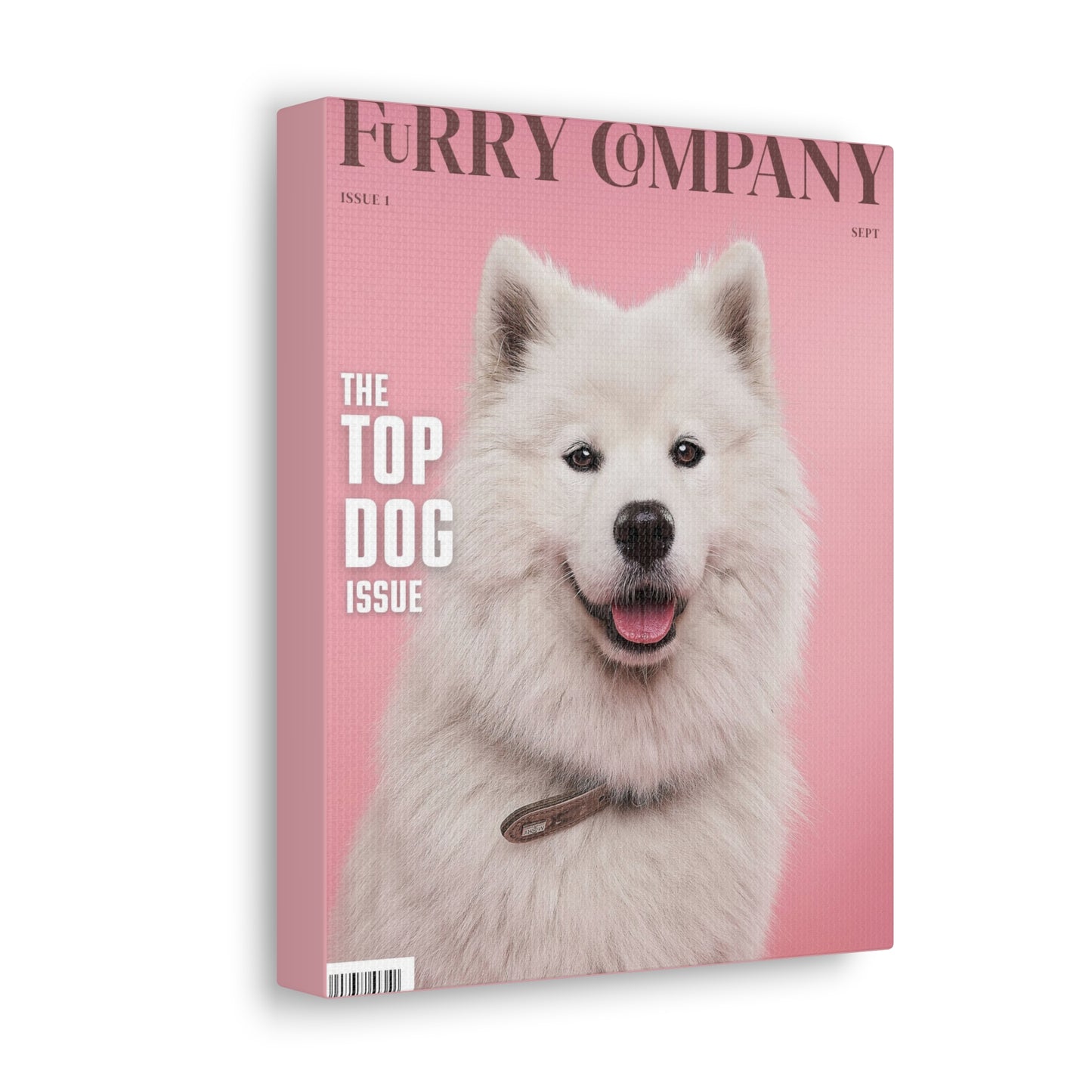 Furry Company - Custom Pet Magazine Portrait