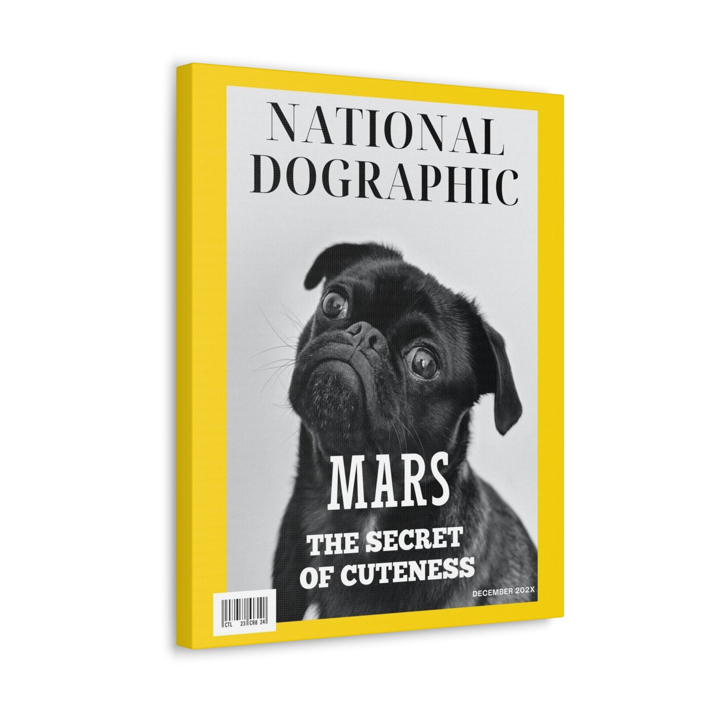 National Dographic - Custom Pet Magazine Portrait