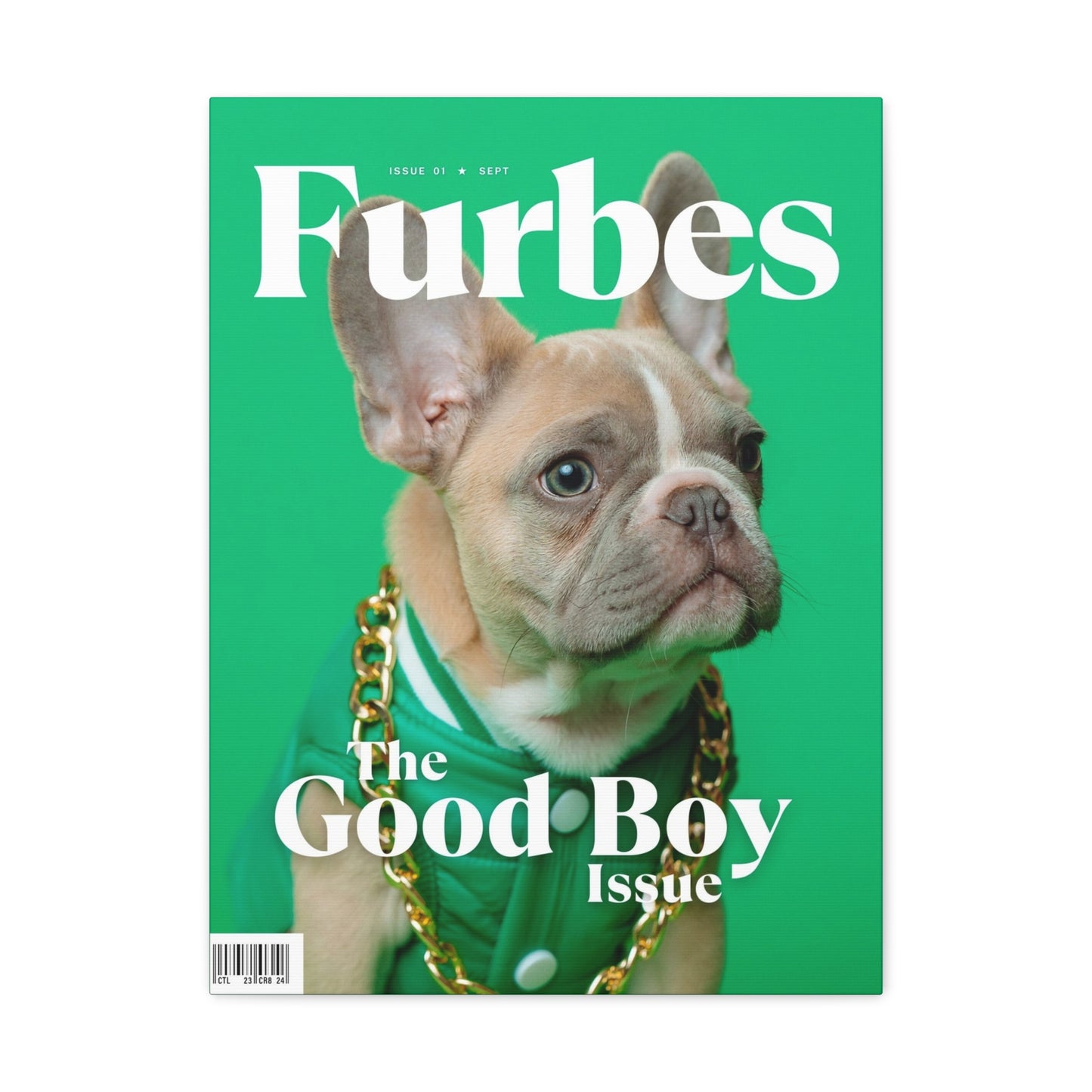 Furbes - Custom Pet Magazine Portrait