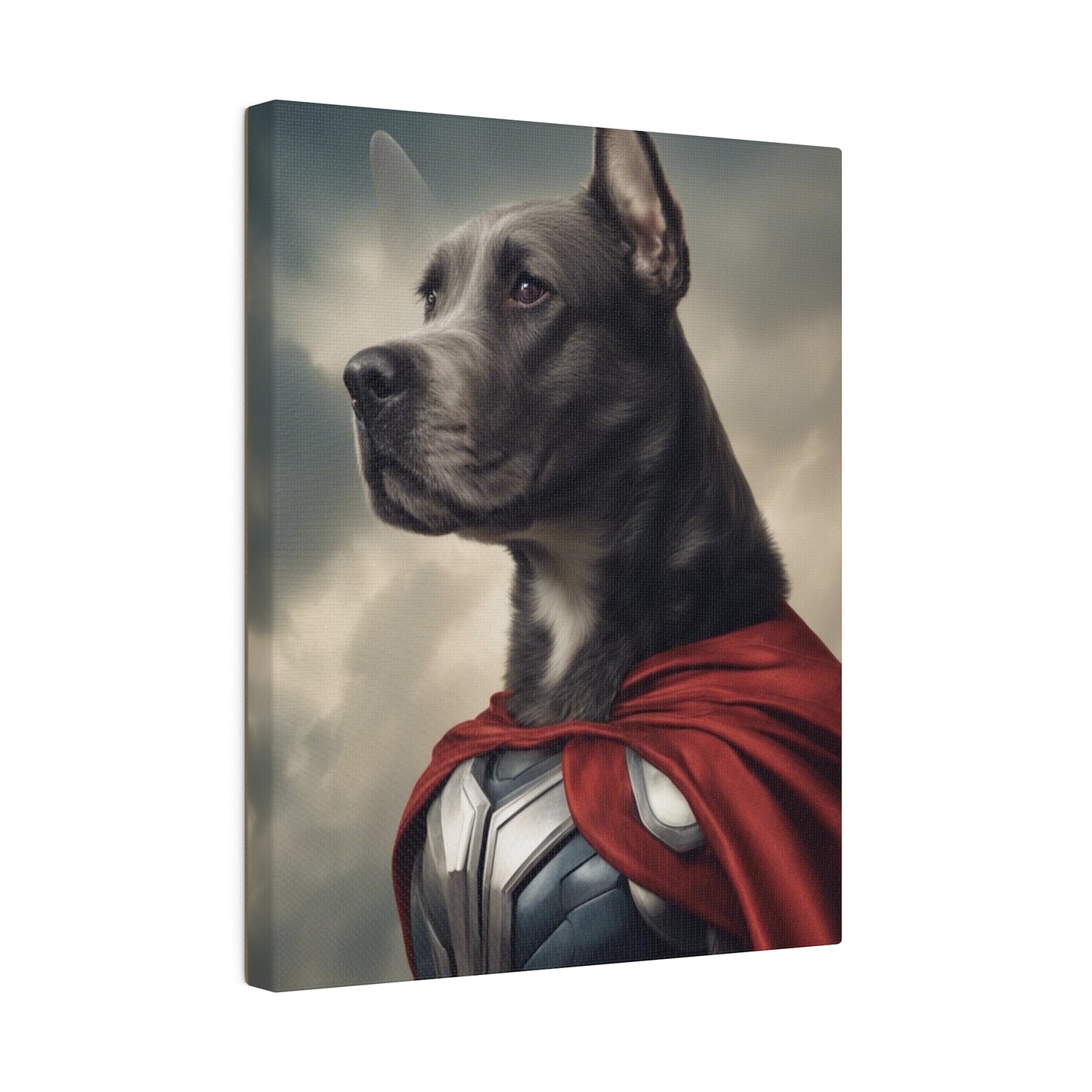 Super Hero - Custom Pet Portrait