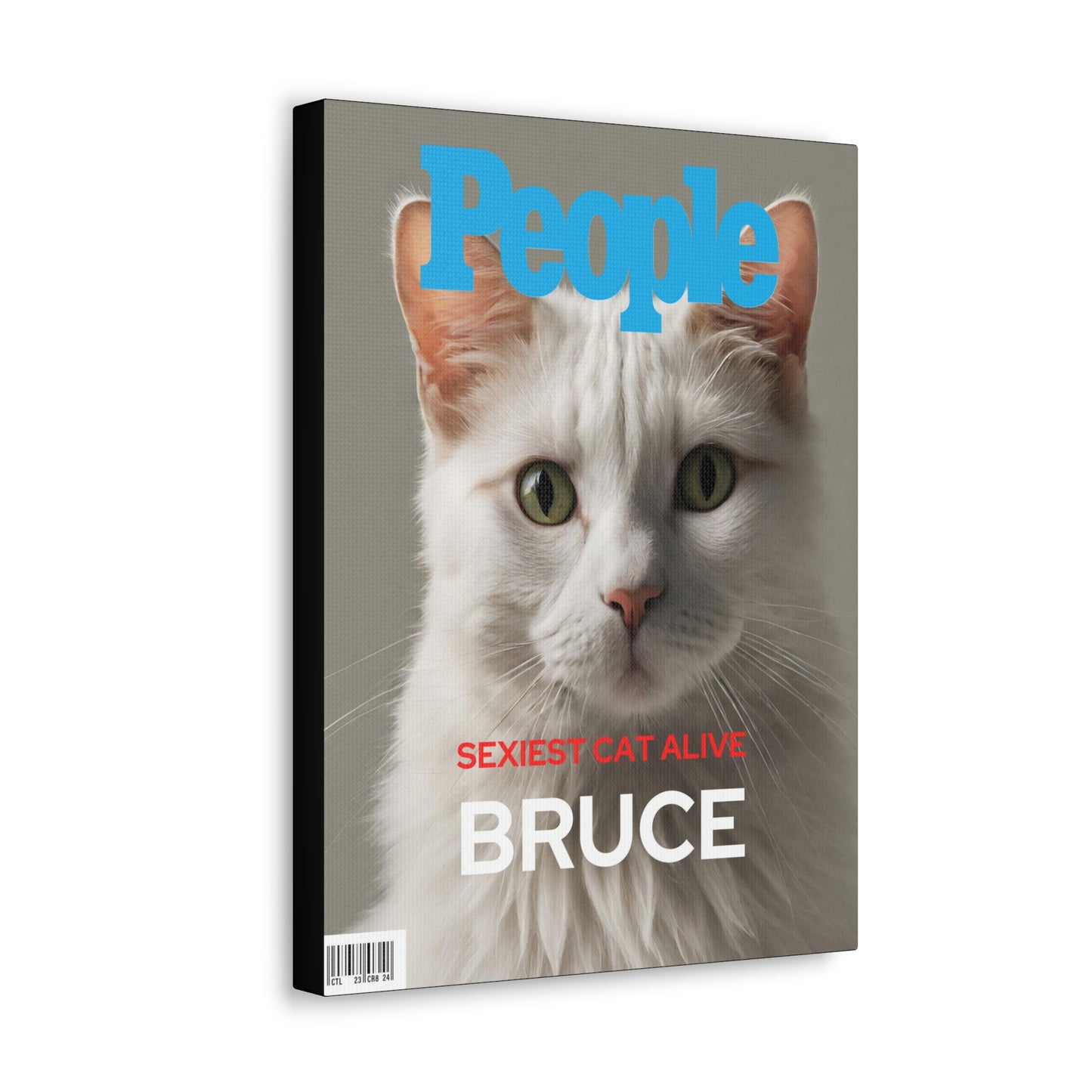 People - Custom Pet Magazine Portrait